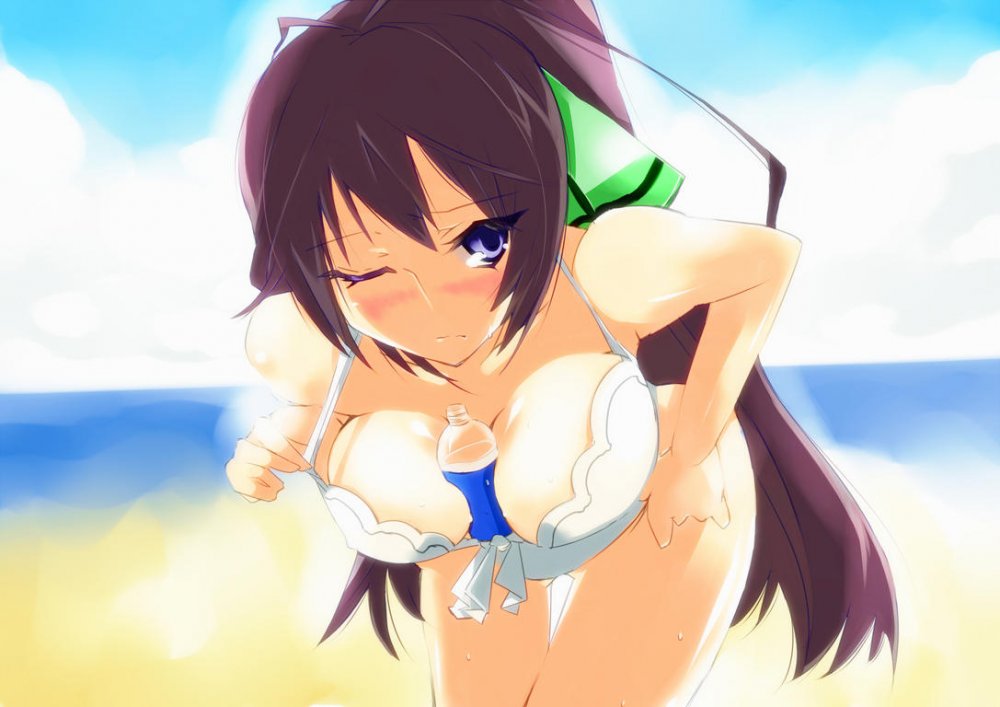 Konachan.com - 145662 beach bikini blaze_(artist) blue_eyes blush breasts clouds infinite_strato.jpg