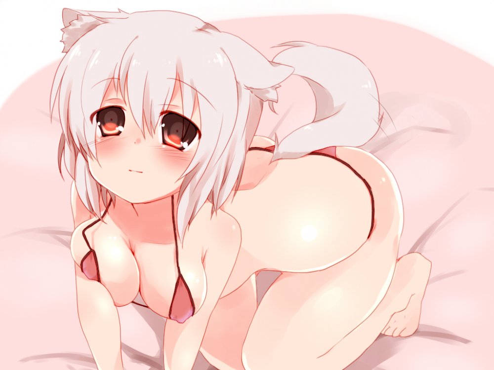 Konachan.com - 137218 animal_ears bikini blush guratan18 inubashiri_momiji red_eyes swimsuit tou.jpg