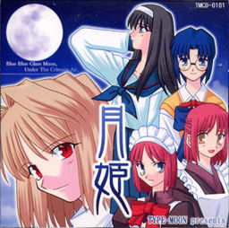 More information about "Tsukihime"
