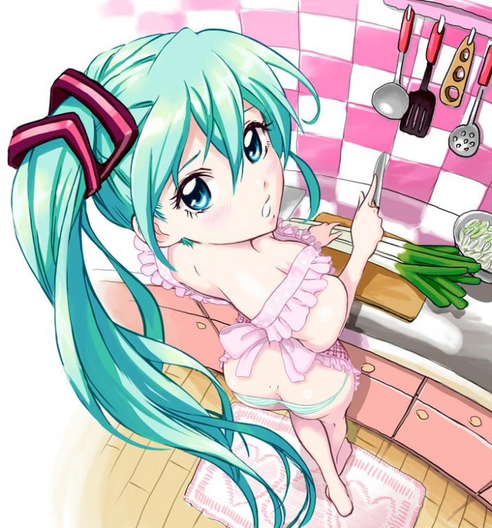 mikuapron.jpg