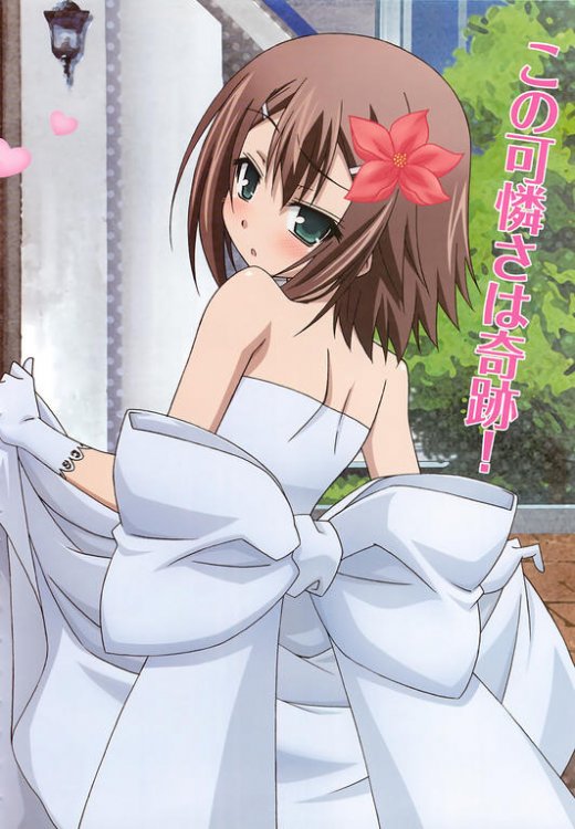 moe_20145790_20baka_to_test_to_shoukanjuu_20kinoshita_hideyoshi_20male_20trap.jpg