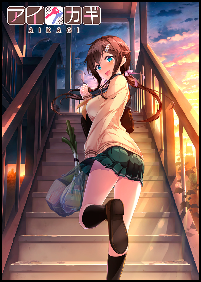 More information about "Aikagi"