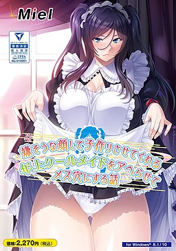 More information about "Maid for Pleasure"