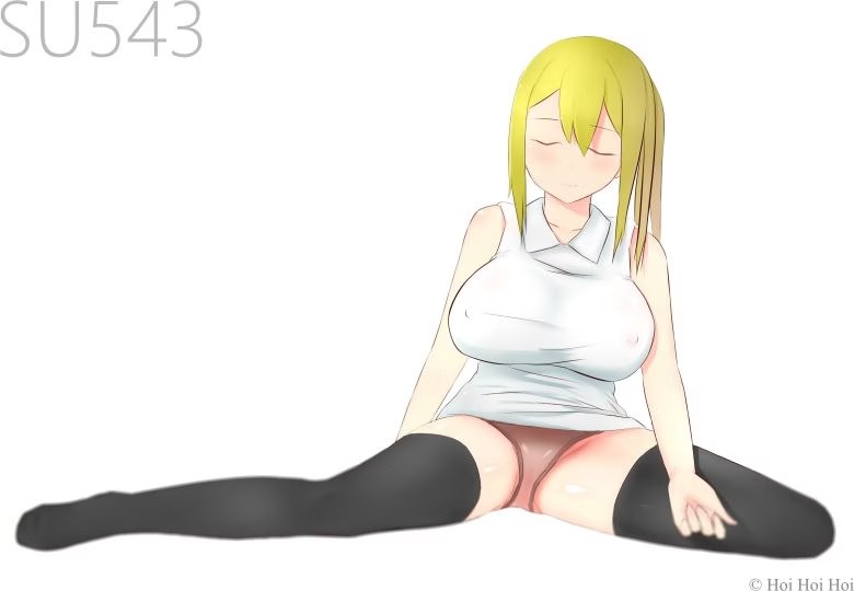 More information about "SU543"