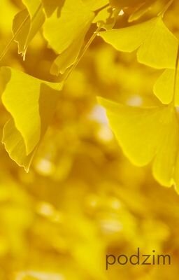 More information about "Autumn"