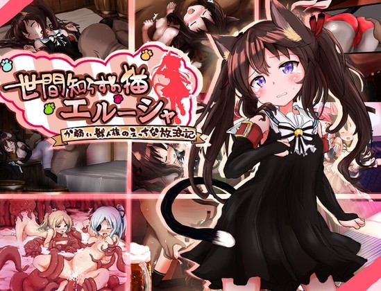 More information about "Naive Cat Erusha"
