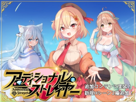 More information about "Additional Strayer"